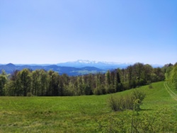 3b314258-6d64-4ee4-b2a8-dcdfc21d0cbc