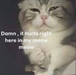 4e8453cf-8705-43c4-9e68-d96bb31c9abe