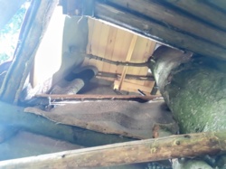 f5a8cc39-5901-4540-94c6-a09f776f3b70