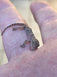 85084fae-49d3-4ee6-a360-bdca20d79575