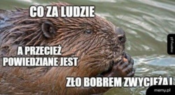 ad70502a-4491-4a55-ae3c-7623b819fe06