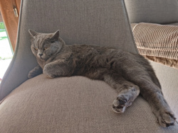 6da26282-f4d6-4435-bef8-ecd76dcc20ec