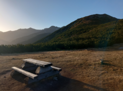 bc531053-788f-428b-bff1-4999a50c1db9