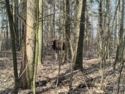 1dae03b0-b808-4c29-bb48-3bf4287fdae5