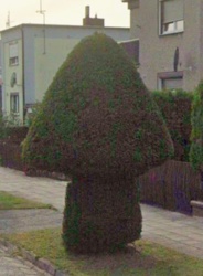 dde11e3c-3e5c-45d6-95f3-08a0ecddd22c