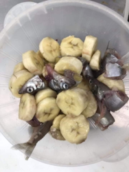 456de529-5226-4f4a-be0f-13a059c5e697