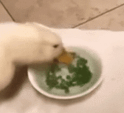 b6c4a6c8-b8bd-4f06-9664-286baa35adc0