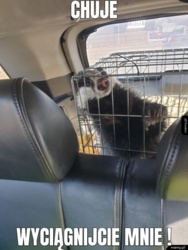 1b117668-e5cf-4239-8dd3-e26f4287dc5f