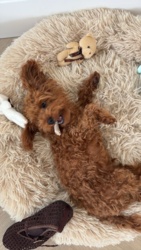 5d40957b-8033-48c6-8eb8-ecab75e423ff