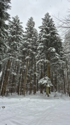 2ed2c35d-68d8-406c-a0bd-ef527fd3e2c3