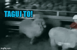 821d9f89-457e-4c70-8814-c825869c31f5