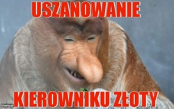 2f6f9148-b7a8-4038-821d-959bb2571d14