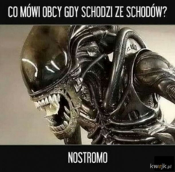 9f1d33a4-3075-438f-b935-69c61a987335