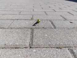 d7c45e7d-b944-4bdd-b354-2fd5e10d55ca