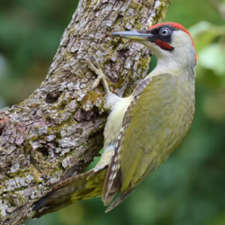 2d75f1b7-0a9f-4a24-b91b-5e7e8825d034