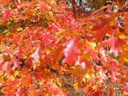 f4d408ae-8fea-4548-9d4b-306efd9f0790