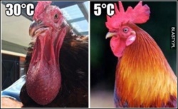 11439fa0-adee-467a-820e-3112649cd5b3