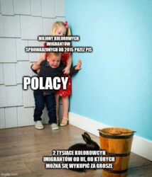 07586c7e-67d1-4975-962a-36d631e7adeb