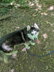 8084b172-81e4-493b-8582-91f22d471ac5