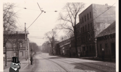 8c6c3e83-21ae-496a-82b9-5b870511e374