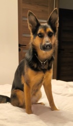 c0cfdcd4-1124-4551-9845-aa9b58b1db5e