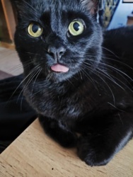 06616f66-3233-4512-8988-fd9bc182e343