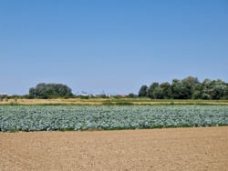 c1339ef7-4ef1-4003-aaf5-59400c4c3810