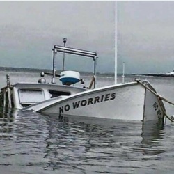 0b7f00c5-86bc-43fd-9dac-d32a7a91d682