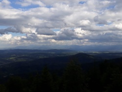 c4bedaf9-c979-450c-bd45-da24dbad702c