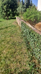 2e0cd317-89a1-4c3d-a639-e619e46b8c90