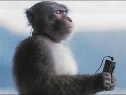 dc17591b-da4e-4add-ac6e-fdda19a168e1