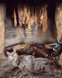 ebdda053-0491-46e4-bbf6-5e6436d1ef2e