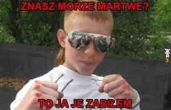 a5995504-ce75-4668-926f-19a34cb39806