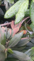 b0c653cf-7784-4edb-8af1-2884f4bf352a