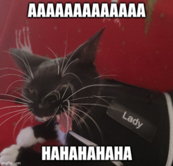 02c8045b-3829-432a-abfe-620136b5df27