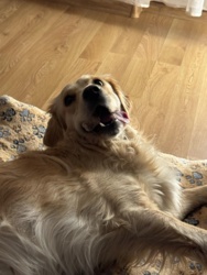 ed8187e4-99cb-4969-a207-d02b980130f8