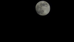 cf067221-5c53-4f4f-a24a-9bf535e32503