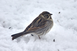 51a32062-8970-4fd2-adfd-49f75e85e24a