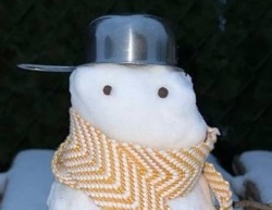 8d902cc2-c018-44e5-ad08-b9ff239deda5