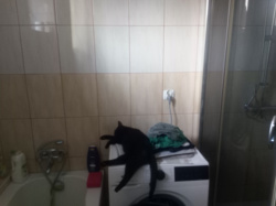 2ad1d51d-f1f0-40e2-a188-f23b88f50852