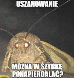 58547113-b739-4186-90c3-f751423b7d31