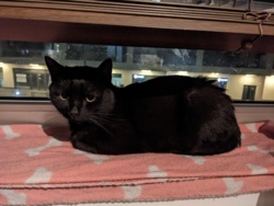 a9ea893d-14e7-4a8c-9694-c799d1da1a72