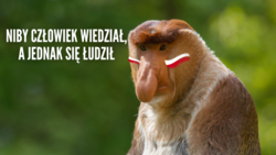 9e71a993-47a7-4d06-9da3-424e3ffab7e4