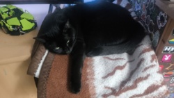 ce84d91d-07cc-4064-97ef-f4faf0a48067