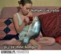 40b9a9c2-7dcd-4d96-908f-9487e91e889c