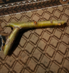 9fd75675-53c0-45a0-aa32-711aa2fc1320