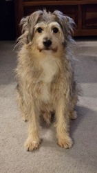 b4cbd175-5166-4843-8d77-12dd3586ab78