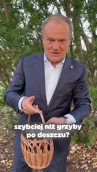 63e2b114-1f10-44c3-bcba-52da779cdee4