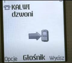 258500b7-10dc-4333-9378-3d361923590a