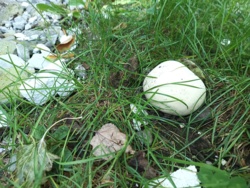 641b7227-bf6f-46e9-a393-cb70f4ba85e7